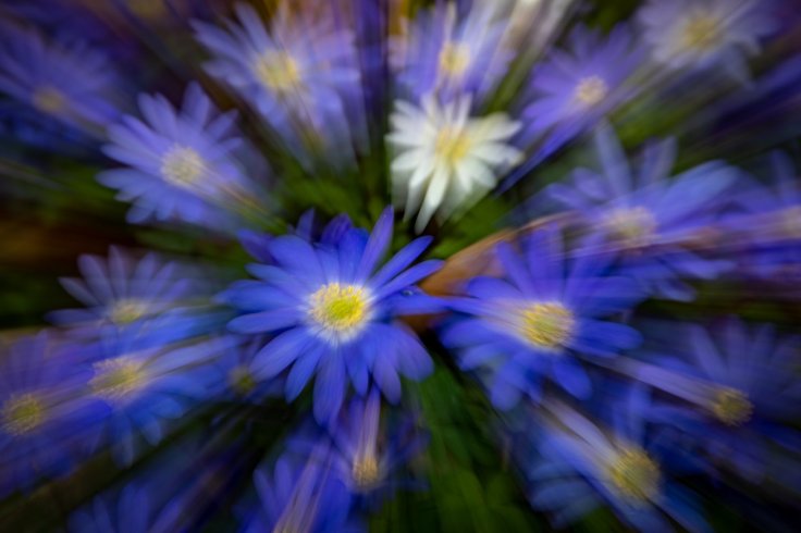 New Technique - Annette